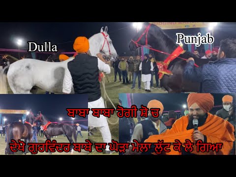 Empire Cup Champion of champion Ring Stallion Dulla,Colt Punjab,Mare Veera #beanttulewal #horselover