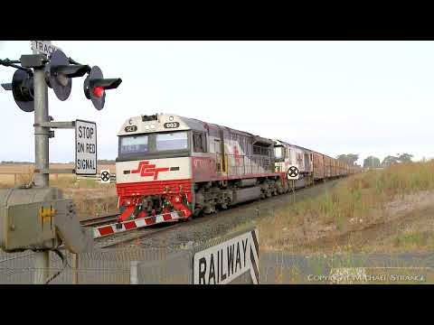 SCT 2PM9 Mixed Freight Train At Level Crossing (4/3/2022) - PoathTV Australian Railways