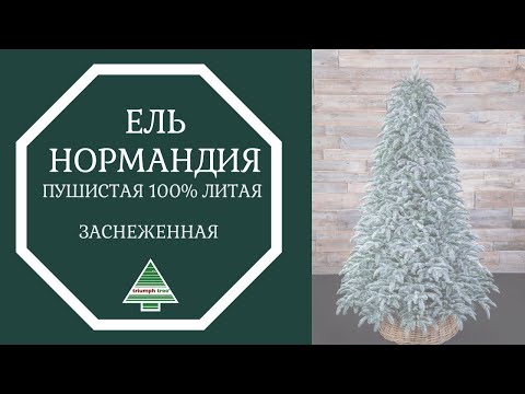 Триумф ель Нормандия Пушистая  100% литая 185 см заснеженная - Видео 1