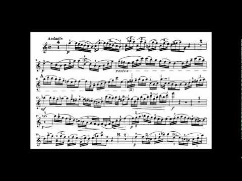 Bach, J.S. violin concerto in A minor BWV 1041
