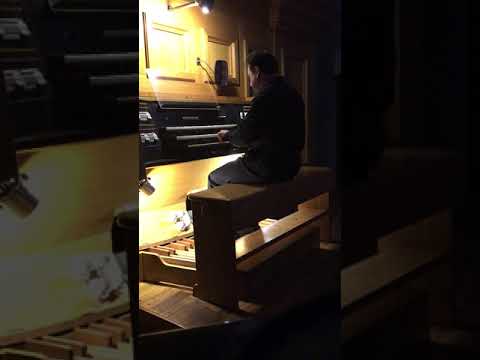 N. Ippolito: Vibonese