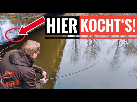 Absolute FANG-ORGIE für GREWALD beim Flussangeln - Du glaubst es nicht!