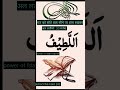 Raat Ko Sote Waqt 33 Martaba Padhe Le Wazifa Islamicprayer Islamicvideo Islamicstatu Islam Dua