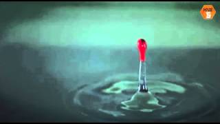 Kalla mig Stig - Official Music video