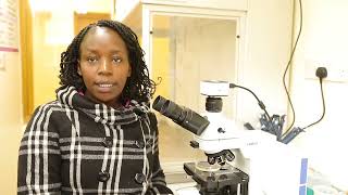 Soil Microfauna - Mycorrhizal Community in Soil