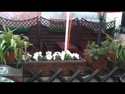 "Pub Pod  Kasztanem" Świdnica