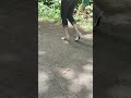 Outdoor Mules Mules Heels Highheel
