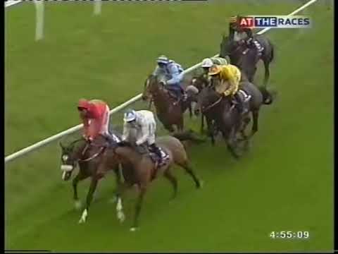 2004 William Hill Haldon Gold Cup Limited Handicap Chase