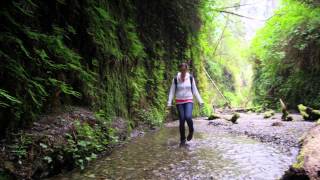 Todd Agnew - &quot;Letting Go&quot; Lyric Video