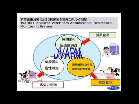 医学科 第一部：One Healthの視点で考える耐性菌問題／動物：病院外で広がる耐性菌問題 - 田村　豊（酪農学園大学）