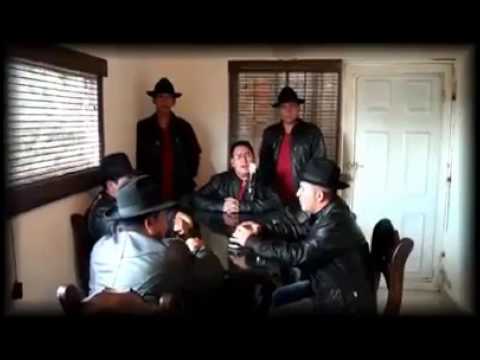 El negocio de Delfina