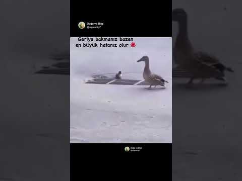 Bazen en doğru yol… Detaylar açıklamada ⬇️😑