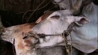 Jedi Mind Tricks   Making a Killing feat  Thea Alana