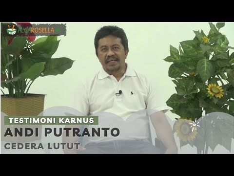 Cedera Lutut karena Ditabrak Motor, Takut Operasi, Sembuh dalam 2 Minggu dengan Alga Series