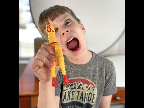 SNAP Review – Winner Winner Chicken Dinner