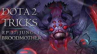 Dota 2 Tricks - Broodmother Jungle