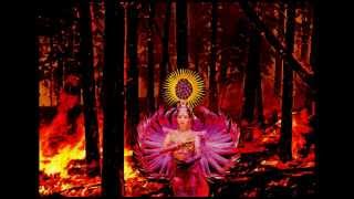 William Orbit - Water From A Vine Leaf (Tripswitch Remix)