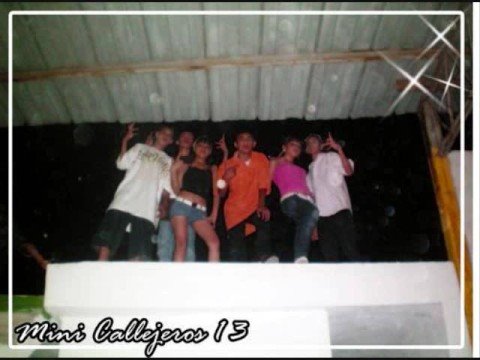 MAPACHE MINI CALLEJERO