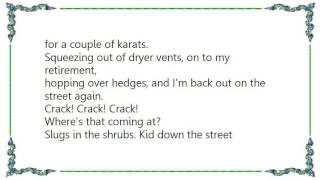 Les Savy Fav - Slugs in the Shrubs Lyrics