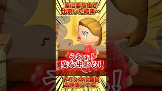 家に変な虫が出現した結果、、 #あつ森 #あつまれどうぶつの森 #shorts