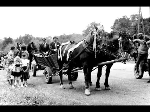 Dawne  wesela  w  Szynwałdzie  i  okolicach - cz. 2