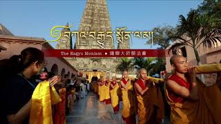 36th Kagyu Monlam - Day Five - Morning Session