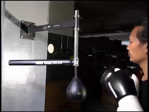 ~子甄彣璟~SUMMITDRAGO 拳館款 拳擊牆靶 旋轉棍靶 速度球 拳擊球 閃避訓練 躲閃防守靶 散打 泰拳