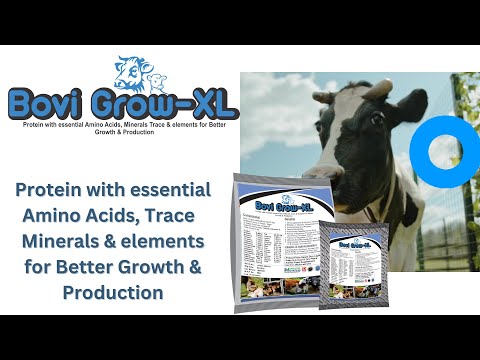 Cattle health supplement with trace minerals and amino acids...