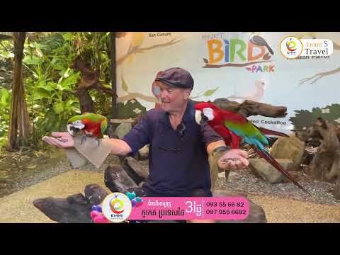 Best 12 Beautiful Places To Visit in Phuket   Thailand 2