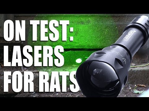 Lasers for Rats