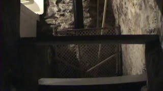 Let Sleeping Guns Lie [Full Movie]