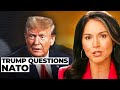 Tulsi Gabbard on Trump's Important Questions to NATO