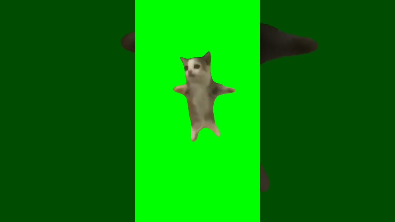 Happy happy cat meme🤣!! Green screen memes 🟢!! #happyhappycat #memes #shorts #viral #foryou #comedy