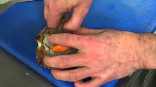 preview picture of video 'Learn how to prepare fresh scallops from the shell with Royal an Lochan'