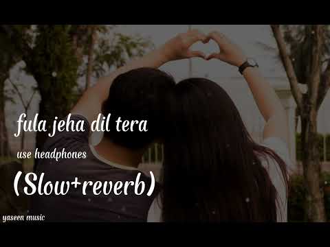 Fula jeha dil tera | Full Song | new punjabi song (Slow+reverb)#slowreverbsongs [yaseen music]