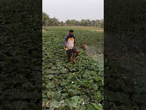 my locky 28/06/22spry