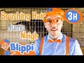 Blippi Learns At A Castle BLIPPI Bedtime Wind Down And Sleep With Moonbug Kids