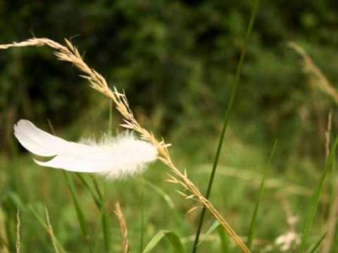 "Feather In the Wind" -- Mark Dinning