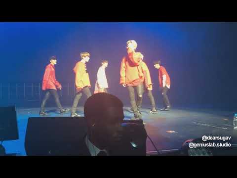 Wings Tour In Brazil