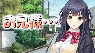 【時賢リプキス】カナちゃんが俺の妹になるらしい ＃１２