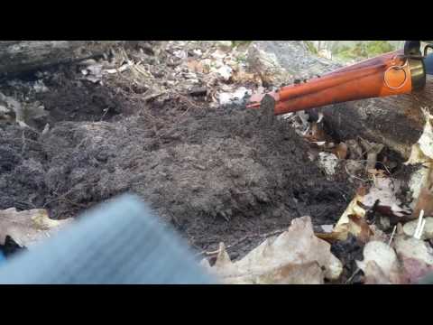 Sondeln mit dem Pr.S. Der unerschöpfliche SPOT !