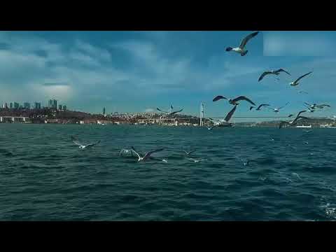 DİTİB 2026 GENÇLİK KÜLTÜR VE DEĞERLER OROGRAMI