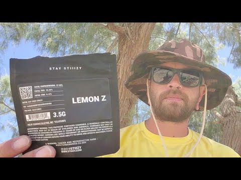 Lemon Z - Stiiizy strain review
