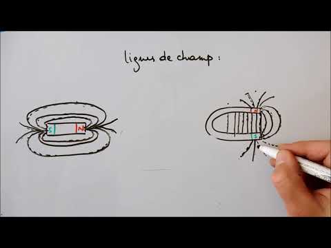 Magnetic field generated by a magnet