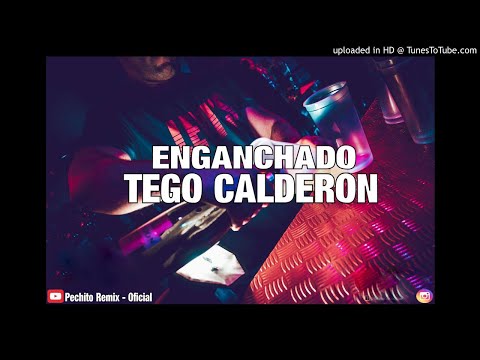 TEGO CALDERON ✘ ENGANCHADO ✘ REMIX FIESTERO ✘ PECHITO REMIX 🔥