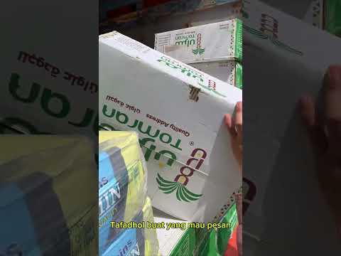 Video Kurma Asyraf