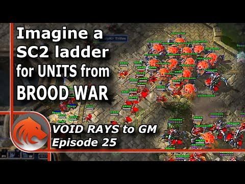 StarCraft 2: NOT the Last Episode of MASS Void Rays!