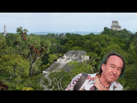 FIELD TRIP WITH PATRICK BLANC IN GUATEMALA - LOWLANDS PETÉN