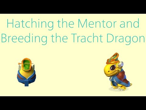 Hatching the Mentor and Breeding the Tracht Dragon | Dragon Mania Legends #19