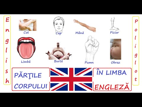 Partile Corpului in Limba Engleza # English Poliglot